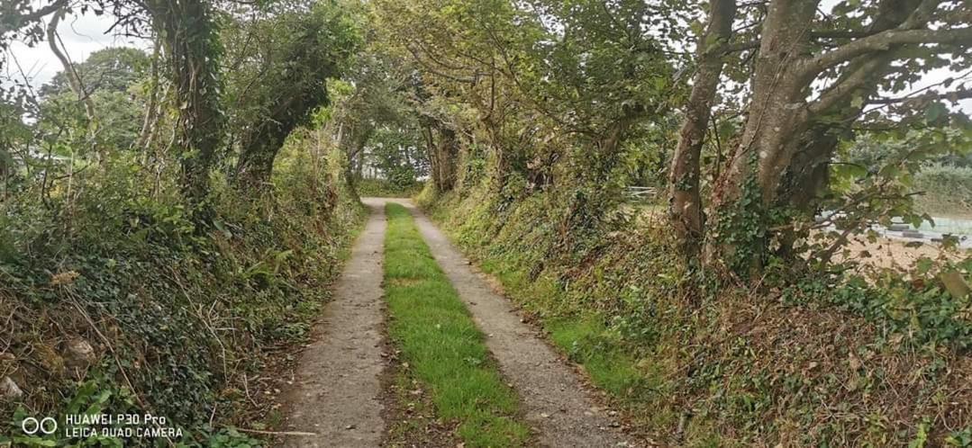 Rosebud Flower Farm Caravan Stay Countryside And Coast Penzance Extérieur photo